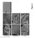 Fig. 04 - Self-assembled composite ultrasmall peptide-polymer hydrogels