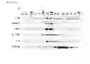 Fig. 06 - METHODS OF DIAGNOSING AND TREATING AMYOTROPHIC LATERAL SCLEROSIS