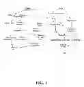 Fig. 02 - Prevention and reduction of blood loss