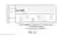 Fig. 19 - AROMATIC-CATIONIC PEPTIDES AND USES OF SAME
