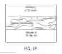 Fig. 20 - AROMATIC-CATIONIC PEPTIDES AND USES OF SAME