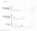 Fig. 02 - MAILLARD REACTION INHIBITOR