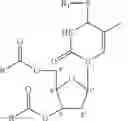 Fig. 06 - Compositions for Photodynamic Therapy Chemically Modified to Increase Epithelia Penetration and Cellular Bioavailability