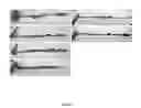 Fig. 02 - COMPOSITION FOR ENHANCING INTESTINE METABOLISM