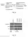 Fig. 04 - Methods for inducing orexin neurons and agent for treating narcolepsy or eating disorder