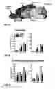 Fig. 07 - COMPOUNDS AND METHODS FOR TREATING PAIN