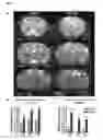 Fig. 09 - COMPOUNDS AND METHODS FOR TREATING PAIN