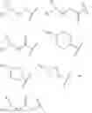 Fig. 24 - COMPOUNDS AND THERAPEUTIC USES THEREOF