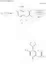 Fig. 08 - Chromone derivative having osteogenesis promoting effect