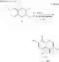 Fig. 09 - Chromone derivative having osteogenesis promoting effect