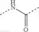 Fig. 511 - Piperidine/piperazine derivatives