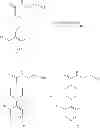 Fig. 22 - PYRIDINE AND PYRIMIDINE BASED COMPOUNDS AS WNT SIGNALING PATHWAY INHIBITORS FOR THE TREATMENT OF CANCER