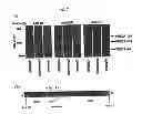 Fig. 06 - Isoform-selective inhibitors and activators of PDE3 cyclic nucleotide phosphodiesterases