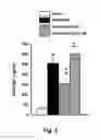 Fig. 07 - Methods and compositions for reducing serum levels of immunoglobulin E (IgE)