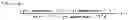 Fig. 04 - TRPV1 antagonists including dihydroxy substituent and uses thereof