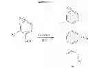 Fig. 286 - TRPV1 antagonists including dihydroxy substituent and uses thereof