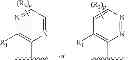 Fig. 80 - TRPV1 antagonists including dihydroxy substituent and uses thereof