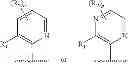 Fig. 85 - TRPV1 antagonists including dihydroxy substituent and uses thereof