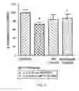 Fig. 06 - Pharmaceutical composition for inhibiting apoptosis of neuron or neurodegeneration