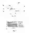 Fig. 02 - COMPOSITIONS AND THEIR USES FOR GENE THERAPY OF BONE CONDITIONS
