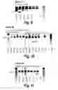 Fig. 06 - Antisense molecules and methods for treating pathologies