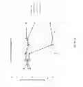 Fig. 12 - Serapina1 iRNA compositions and methods of use thereof