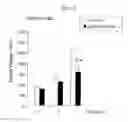 Fig. 05 - Double-stranded nucleic acid molecule, cancer cell proliferation inhibitor and pharmaceutical agent suitable for prevention or treatment of cancer