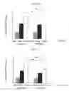 Fig. 12 - Double-stranded nucleic acid molecule, cancer cell proliferation inhibitor and pharmaceutical agent suitable for prevention or treatment of cancer