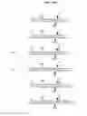 Fig. 43 - Extended dicer substrate agents and methods for the specific inhibition of gene expression