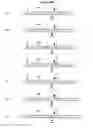 Fig. 44 - Extended dicer substrate agents and methods for the specific inhibition of gene expression