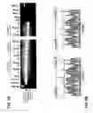 Fig. 10 - INDUCTION OF EXON SKIPPING IN EUKARYOTIC CELLS