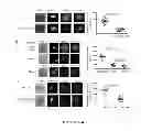 Fig. 02 - CONTROLLING REGULATORY T CELL FUNCTION
