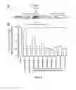 Fig. 04 - INHIBITION OF VIRAL GENE EXPRESSION