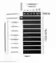 Fig. 06 - INHIBITION OF VIRAL GENE EXPRESSION