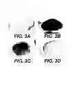 Fig. 04 - Genetic Inhibition by Double-Stranded RNA