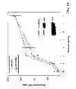 Fig. 02 - COMPOSITIONS AND METHODS FOR MODULATING ANGIOGENESIS