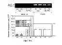Fig. 08 - COMPOSITIONS AND METHODS FOR MODULATING ANGIOGENESIS