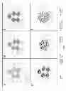 Fig. 02 - Oncovector Nucleic Acid Molecules and Methods of Use