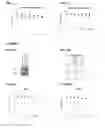 Fig. 03 - Method of treating androgen receptor (AR)-positive breast cancers with selective androgen receptor modulator (SARMs)