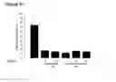 Fig. 25 - Method of treating androgen receptor (AR)-positive breast cancers with selective androgen receptor modulator (SARMs)