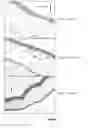 Fig. 02 - Tafluprost and analogs thereof for reducing fat