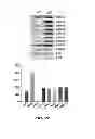 Fig. 14 - Uses of histone acetyltransferase activators