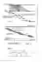 Fig. 02 - MDM2-Containing Double Minute Chromosomes And Methods Therefore