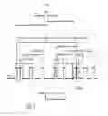 Fig. 05 - MDM2-Containing Double Minute Chromosomes And Methods Therefore