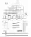 Fig. 07 - MDM2-Containing Double Minute Chromosomes And Methods Therefore