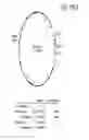 Fig. 15 - MDM2-Containing Double Minute Chromosomes And Methods Therefore