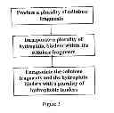 Fig. 04 - BIOCOMPOSITE MATERIAL
