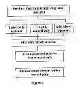 Fig. 05 - BIOCOMPOSITE MATERIAL