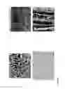 Fig. 06 - Production of materials having an anisotropic structure