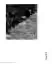 Fig. 10 - Production of materials having an anisotropic structure